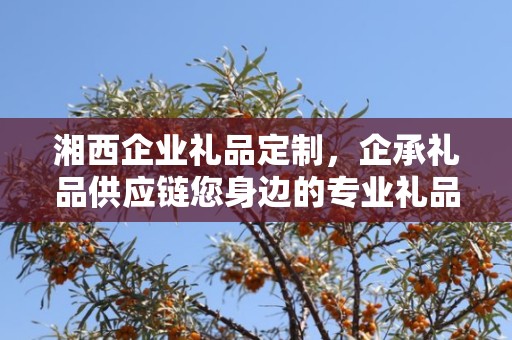湘西企业礼品定制，企承礼品供应链您身边的专业礼品定制公司