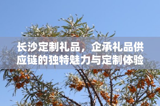 长沙定制礼品，企承礼品供应链的独特魅力与定制体验
