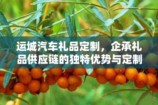运城汽车礼品定制，企承礼品供应链的独特优势与定制之旅